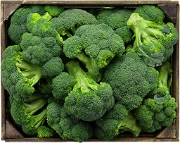 Broccoli Eko