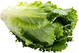 Sallad Cosmopolitan Klass 1