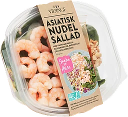 Asiatisk nudelsallad