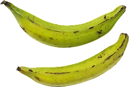 Matbanan