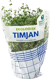 Timjan