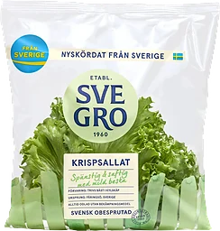 Krispsallat