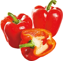 Röd paprika