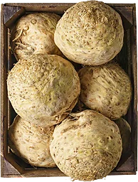 Rotselleri