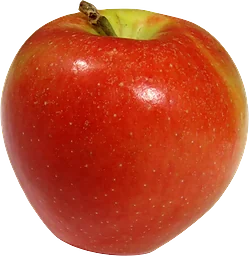 Äpple Jazz ca Klass 1 ICA