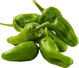 Padronpaprika