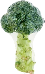 Broccoli Klass 1