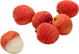 Litchiplommon