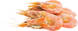 Räkor Färska ,