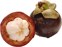 Mangostan