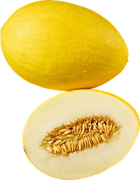 Honungsmelon