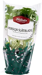 Persilja Slätbladig Kruka KRAV Hällnäs Handelsträdgård