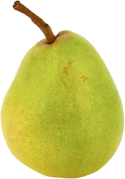 Päron Clara Frijs