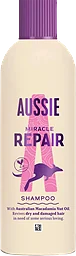 Miracle Repair