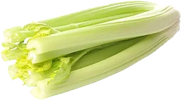Bladselleri