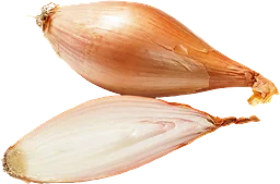 Bananscharlottenlök