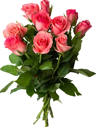 Rosor 10-Pack