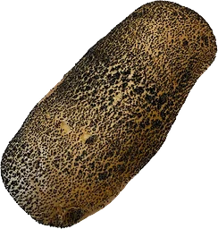 Vallmobröd Folkes