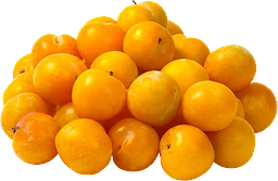 Plommon Gula