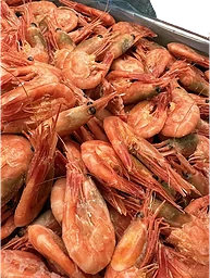 Frysta Räkor 60/80 ca