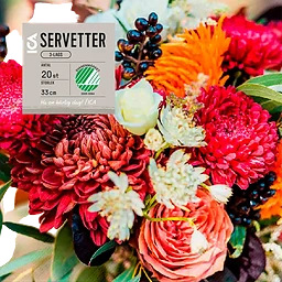 Servett 33cm Aster 20-p