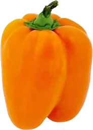 Paprika Orange