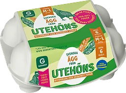 Ägg Frigående Utomhus Medium/large