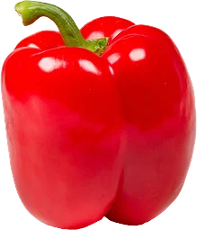 Paprika Röd