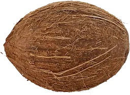 Kokosnöt