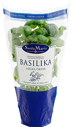 Basilika Eko