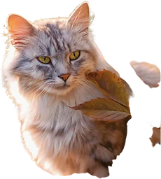 Väggkalender Stora Katt