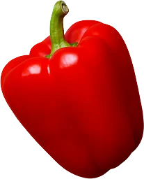 Paprika Röd