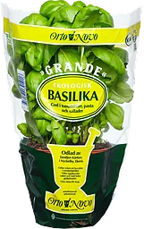 Basilika Grande Eko Klass 1