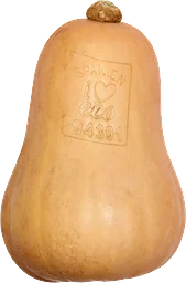 Pumpa Butternut Ekologisk ca Klass 1 ICA
