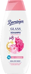 Schampo Glans