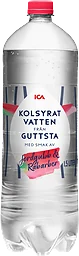 Kolsyrat vatten Jordgubb/rabarber
