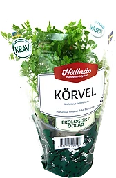 Körvel Kruka Eko