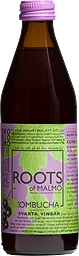 Kombucha Svarta Vinbär 0.5%