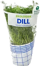 Dill