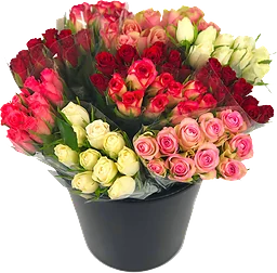Rosor 10-pack