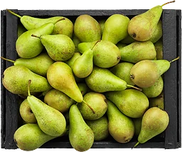 Päron