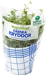 Timjan Ekologisk 1-p