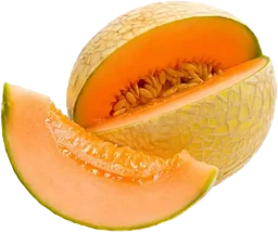Melon Cantaloupe
