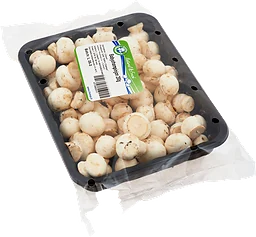 Champinjoner Baby Klass 1