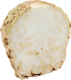 Rotselleri Delad Klass 1