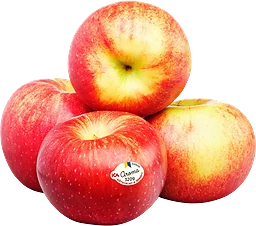 Äpple Aroma 4-pack Klass 1