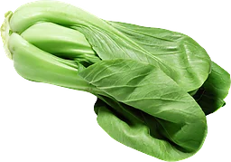 Pakchoi Sallat