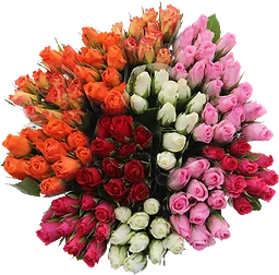Rosor 35 cm