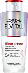 Schampo Bond repair