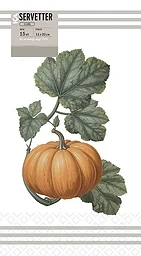 Servett 20cm Pumpa 15-p